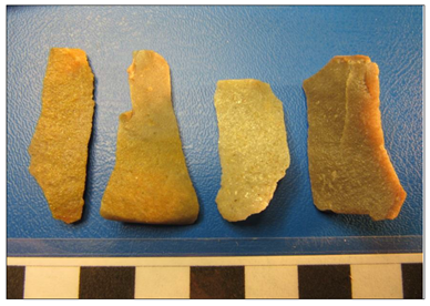 Four small stone blades displayed against a blue background. From the left, the three stones are examples of silcrete blades found in Neumann Park. The fourth blade (far right) is a quartzite blade also found in Neumann Park.