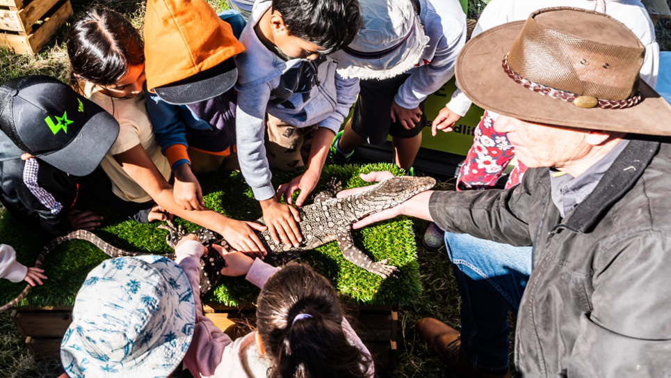 A group of children patting a lizard